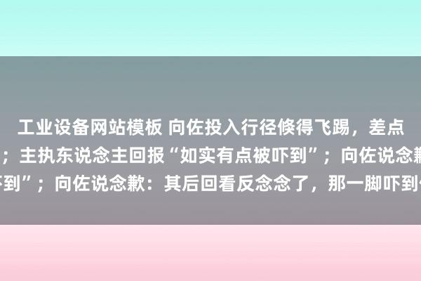 工业设备网站模板 向佐投入行径倏得飞踢，差点踢到主执东说念主的头；主执东说念主回报“如实有点被吓到”；向佐说念歉：其后回看反念念了，那一脚吓到你很抱歉