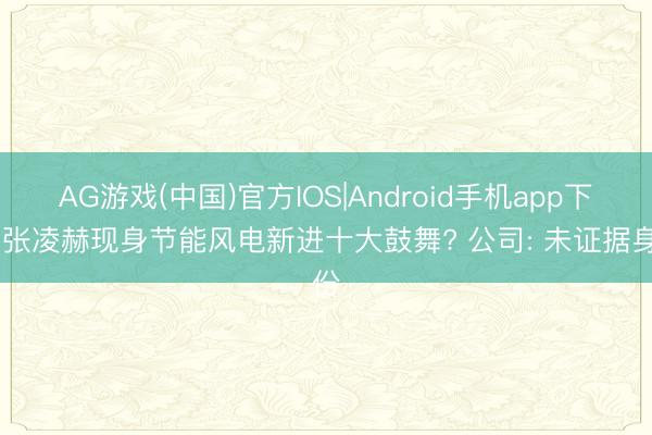 AG游戏(中国)官方IOS|Android手机app下载 张凌赫现身节能风电新进十大鼓舞? 公司: 未证据身份