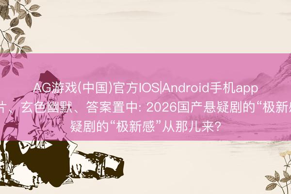 AG游戏(中国)官方IOS|Android手机app下载 伪公路片、玄色幽默、答案置中: 2026国产悬疑剧的“极新感”从那儿来?