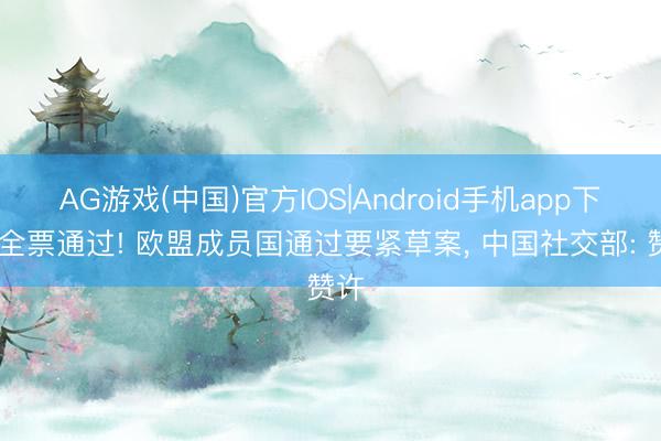 AG游戏(中国)官方IOS|Android手机app下载 全票通过! 欧盟成员国通过要紧草案, 中国社交部: 赞许