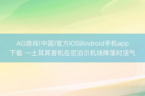 AG游戏(中国)官方IOS|Android手机app下载 一土耳其客机在尼泊尔机场降落时活气