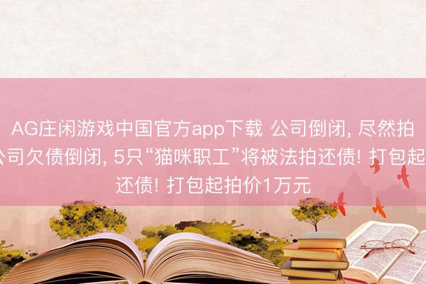 AG庄闲游戏中国官方app下载 公司倒闭， 尽然拍卖职工? 公司欠债倒闭， 5只“猫咪职工”将被法拍还债! 打包起拍价1万元