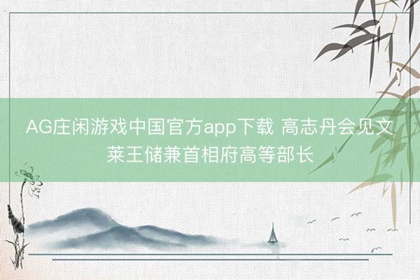 AG庄闲游戏中国官方app下载 高志丹会见文莱王储兼首相府高等部长