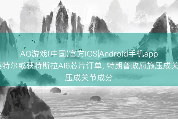 AG游戏(中国)官方IOS|Android手机app下载 英特尔或获特斯拉AI6芯片订单， 特朗普政府施压成关节成分