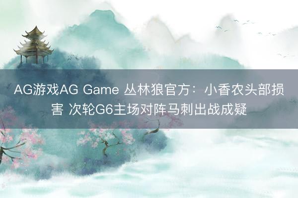 AG游戏AG Game 丛林狼官方：小香农头部损害 次轮G6主场对阵马刺出战成疑
