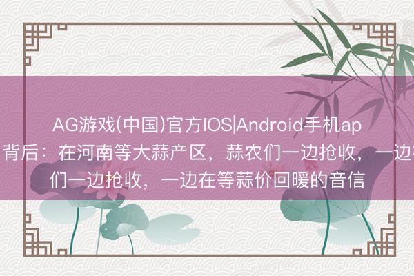 AG游戏(中国)官方IOS|Android手机app下载 “免费抽蒜薹”背后：在河南等大蒜产区，蒜农们一边抢收，一边在等蒜价回暖的音信