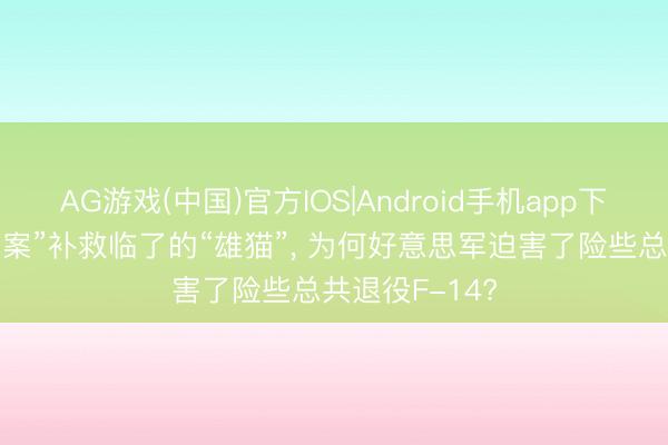 AG游戏(中国)官方IOS|Android手机app下载 “独行侠法案”补救临了的“雄猫”， 为何好意思军迫害了险些总共退役F-14?