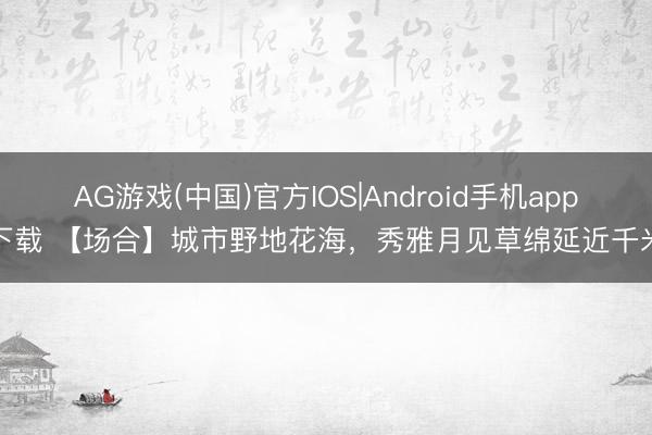 AG游戏(中国)官方IOS|Android手机app下载 【场合】城市野地花海,秀雅月见草绵延近千米