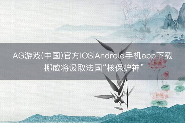 AG游戏(中国)官方IOS|Android手机app下载 挪威将汲取法国“核保护神”
