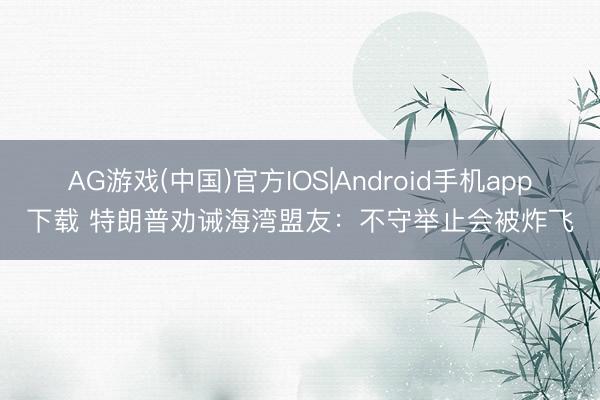AG游戏(中国)官方IOS|Android手机app下载 特朗普劝诫海湾盟友:不守举止会被炸飞