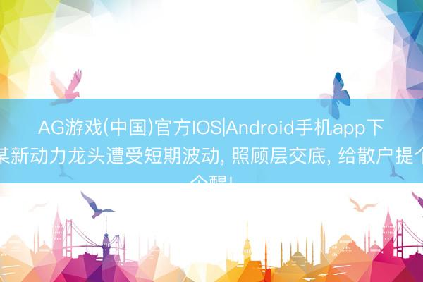 AG游戏(中国)官方IOS|Android手机app下载 某新动力龙头遭受短期波动, 照顾层交底, 给散户提个醒!