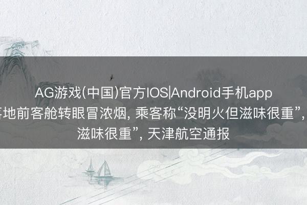 AG游戏(中国)官方IOS|Android手机app下载 一飞机落地前客舱转眼冒浓烟， 乘客称“没明火但滋味很重”， 天津航空通报