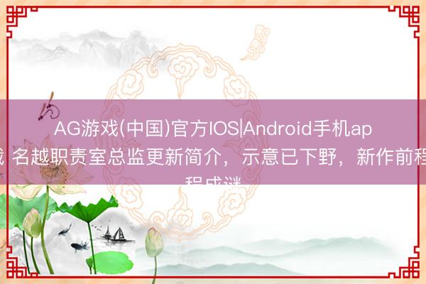 AG游戏(中国)官方IOS|Android手机app下载 名越职责室总监更新简介,示意已下野,新作前程成谜